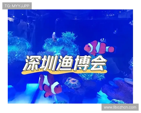 博鱼官网登录入口官方最新入口地址，确保玩家第一时间获取登录通道信息享受优质游戏体验